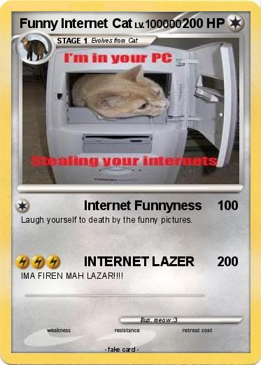 Pokemon Funny Internet Cat