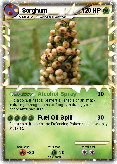 Pokemon Sorghum