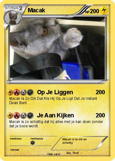 Pokemon Macak