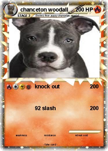Pokemon chanceton woodall