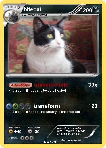 Pokemon bitecat