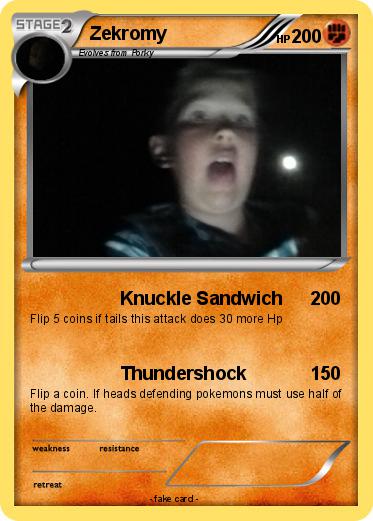 Pokemon Zekromy