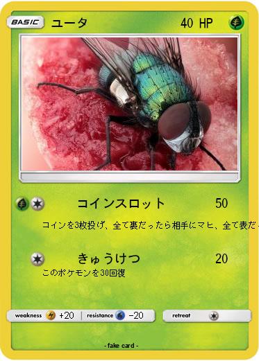 Pokemon ユータ