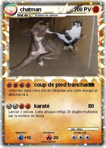 Pokemon chatman