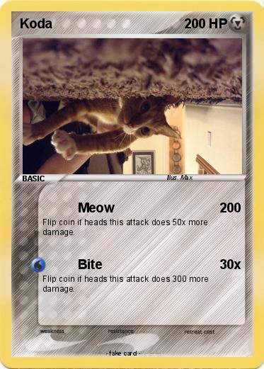 Pokemon Koda