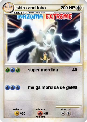 Pokemon shiro and lobo