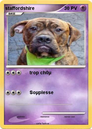 Pokemon staffordshire