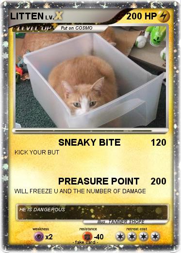Pokemon LITTEN