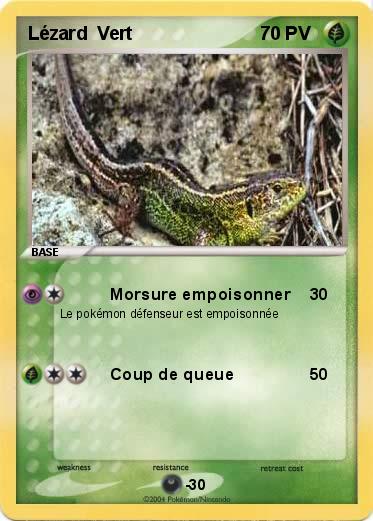 Pokemon Lézard  Vert