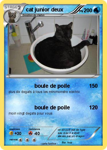 Pokemon cat junior deux