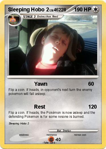 Pokemon Sleeping Hobo 2