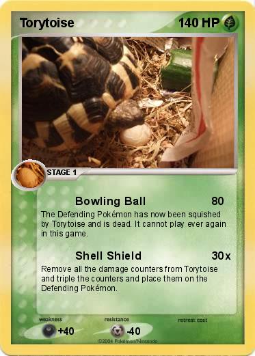 Pokemon Torytoise