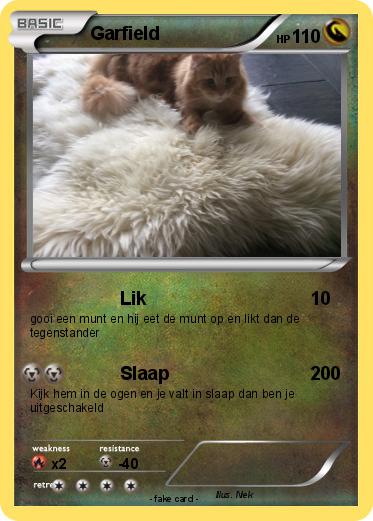 Pokemon Garfield