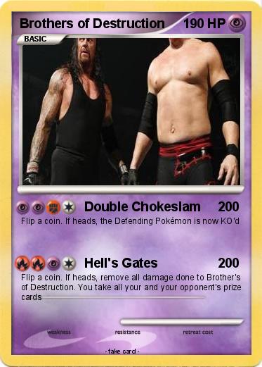 Pokemon Brothers of Destruction