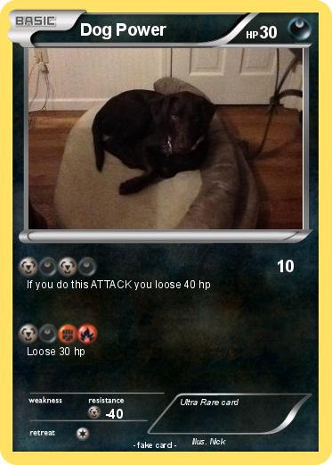 Pokemon Dog Power