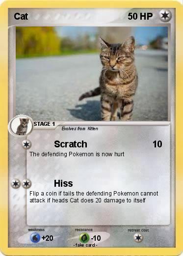 Pokemon Cat