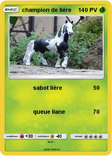 Pokemon champion de lière