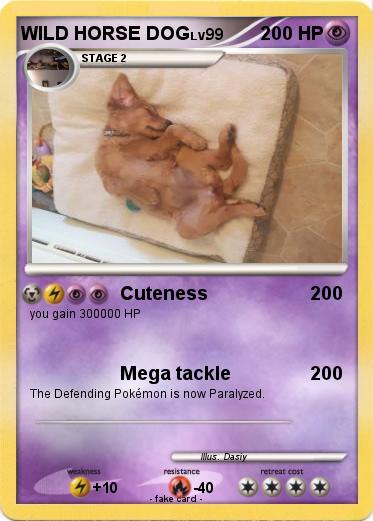 Pokemon WILD HORSE DOG