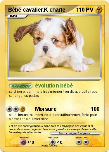 Pokemon Bébé cavalier.K charle