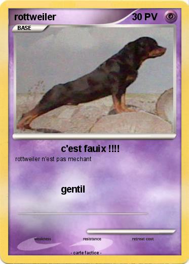 Pokemon rottweiler