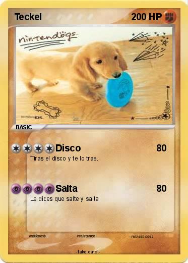 Pokemon Teckel