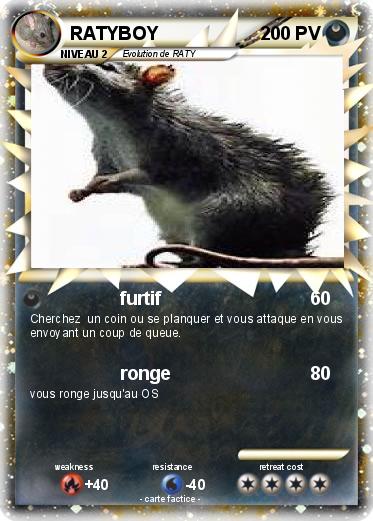 Pokemon RATYBOY