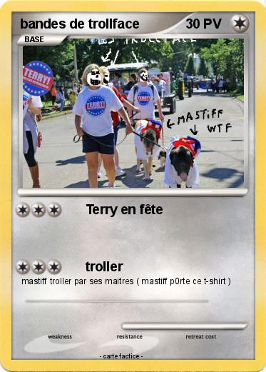 Pokemon bandes de trollface