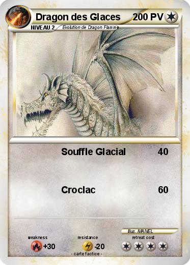 Pokemon Dragon des Glaces