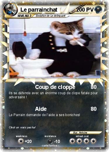 Pokemon Le parrainchat