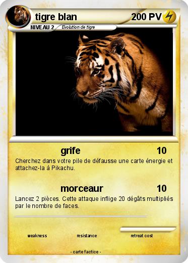 Pokemon tigre blan