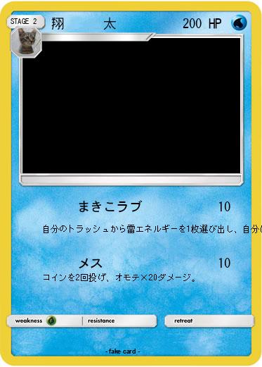 Pokemon 翔　　　太