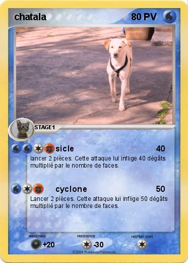 Pokemon chatala