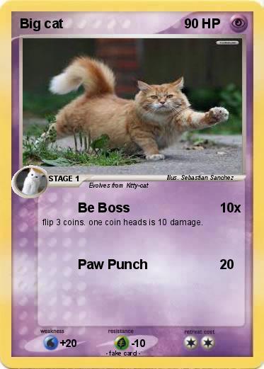 Pokemon Big cat