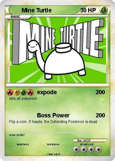 Pokemon Mine Turtle