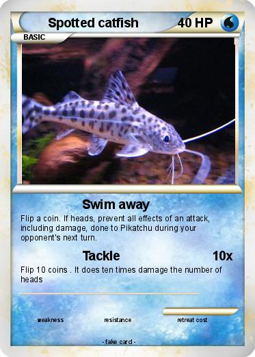 Pokemon Spotted catfish