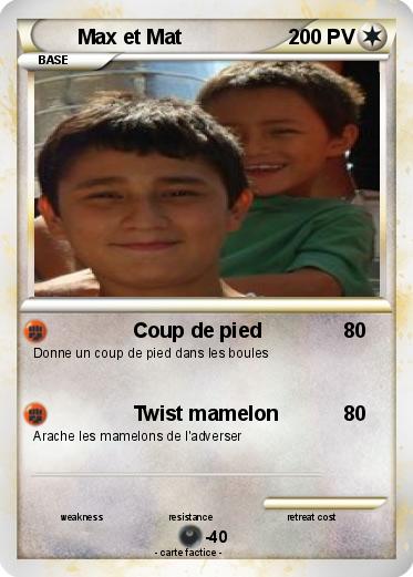 Pokemon Max et Mat