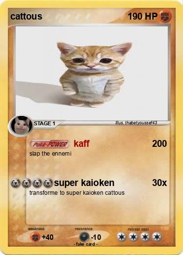 Pokemon cattous