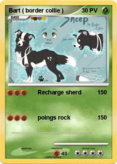 Pokemon Bart ( border collie )