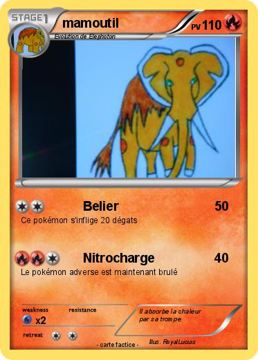 Pokemon mamoutil
