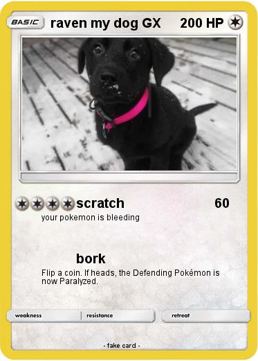 Pokemon raven my dog GX