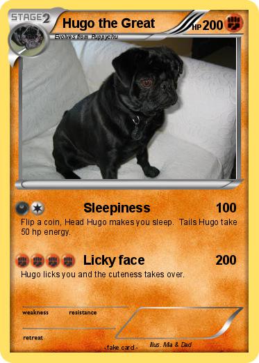 Pokemon Hugo the Great