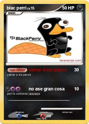 Pokemon blac perri