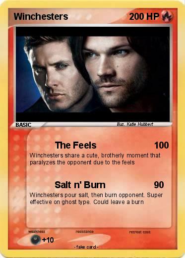 Pokemon Winchesters