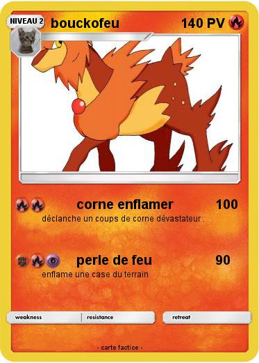 Pokemon bouckofeu