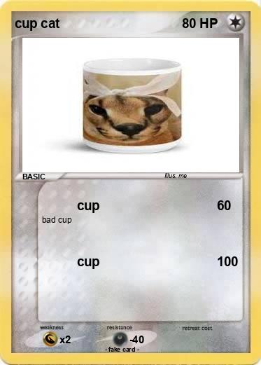 Pokemon cup cat