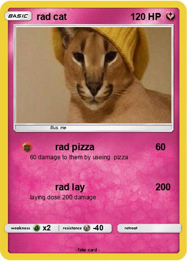Pokemon rad cat
