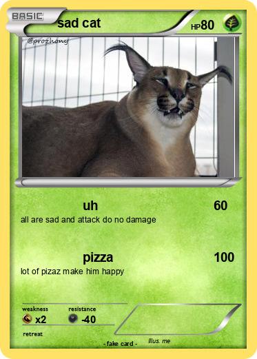 Pokemon sad cat