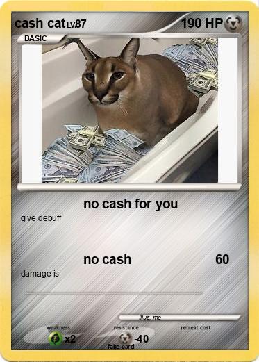 Pokemon cash cat