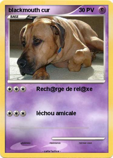 Pokemon blackmouth cur