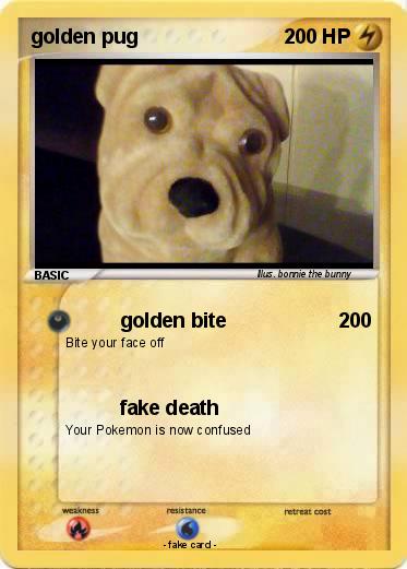 Pokemon golden pug